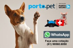 porto pet saúde