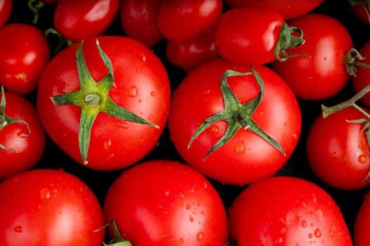 As propriedades do tomate