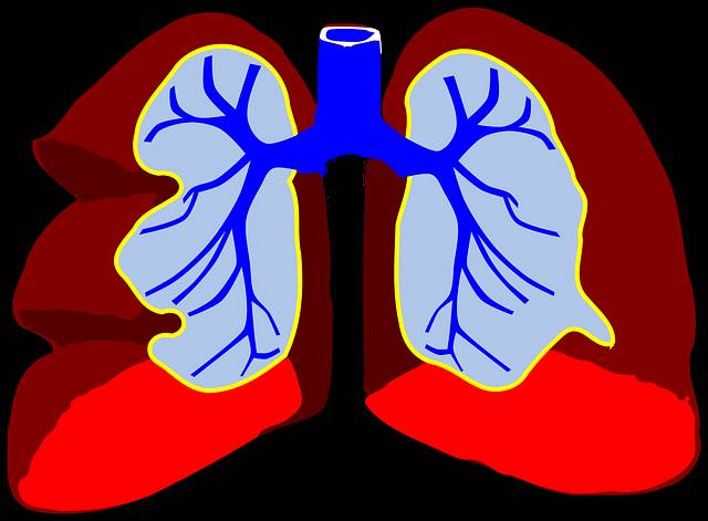 Bronquiolite pulmão